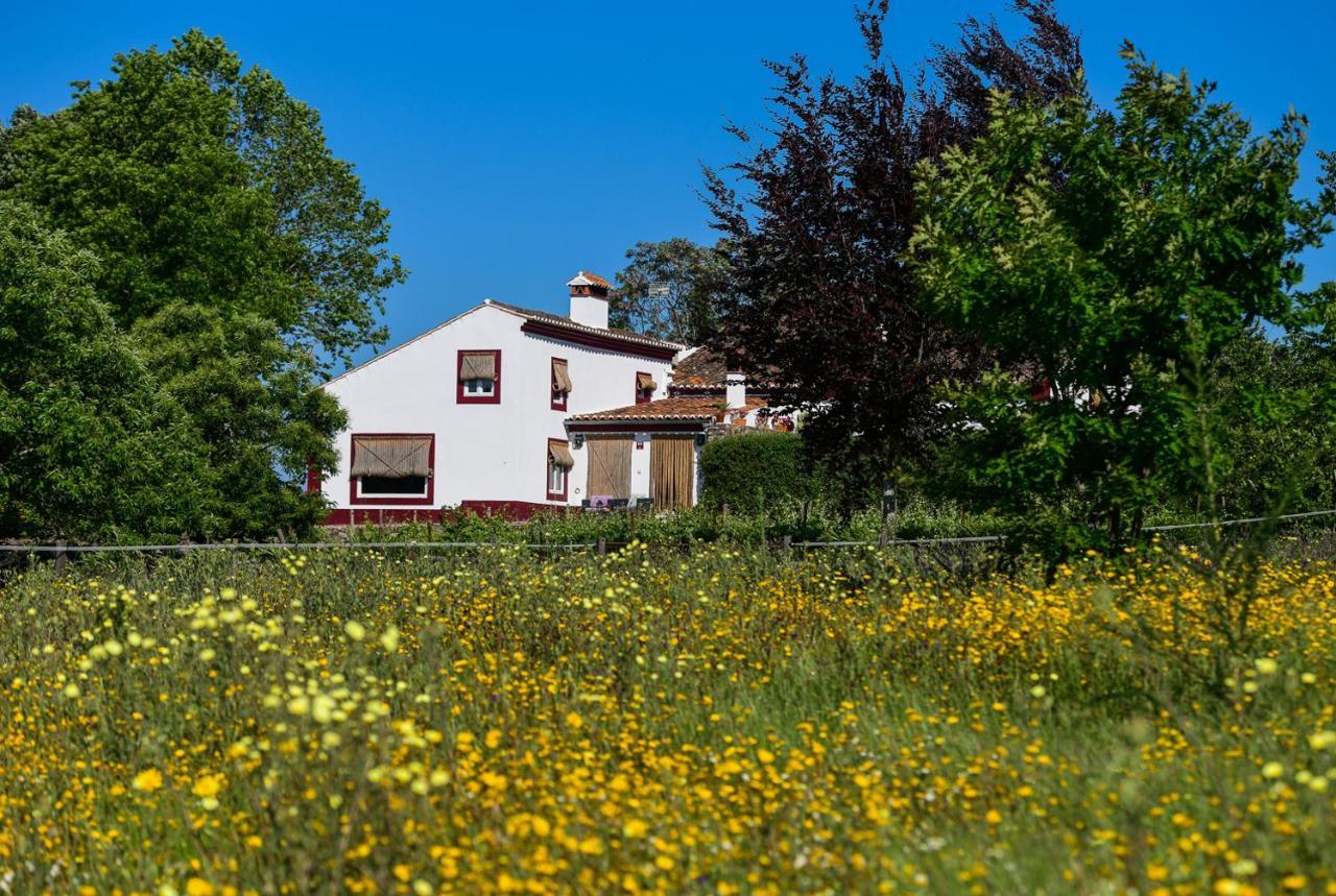 Quinta Da Dourada Hotel Portalegre Ngoại thất bức ảnh